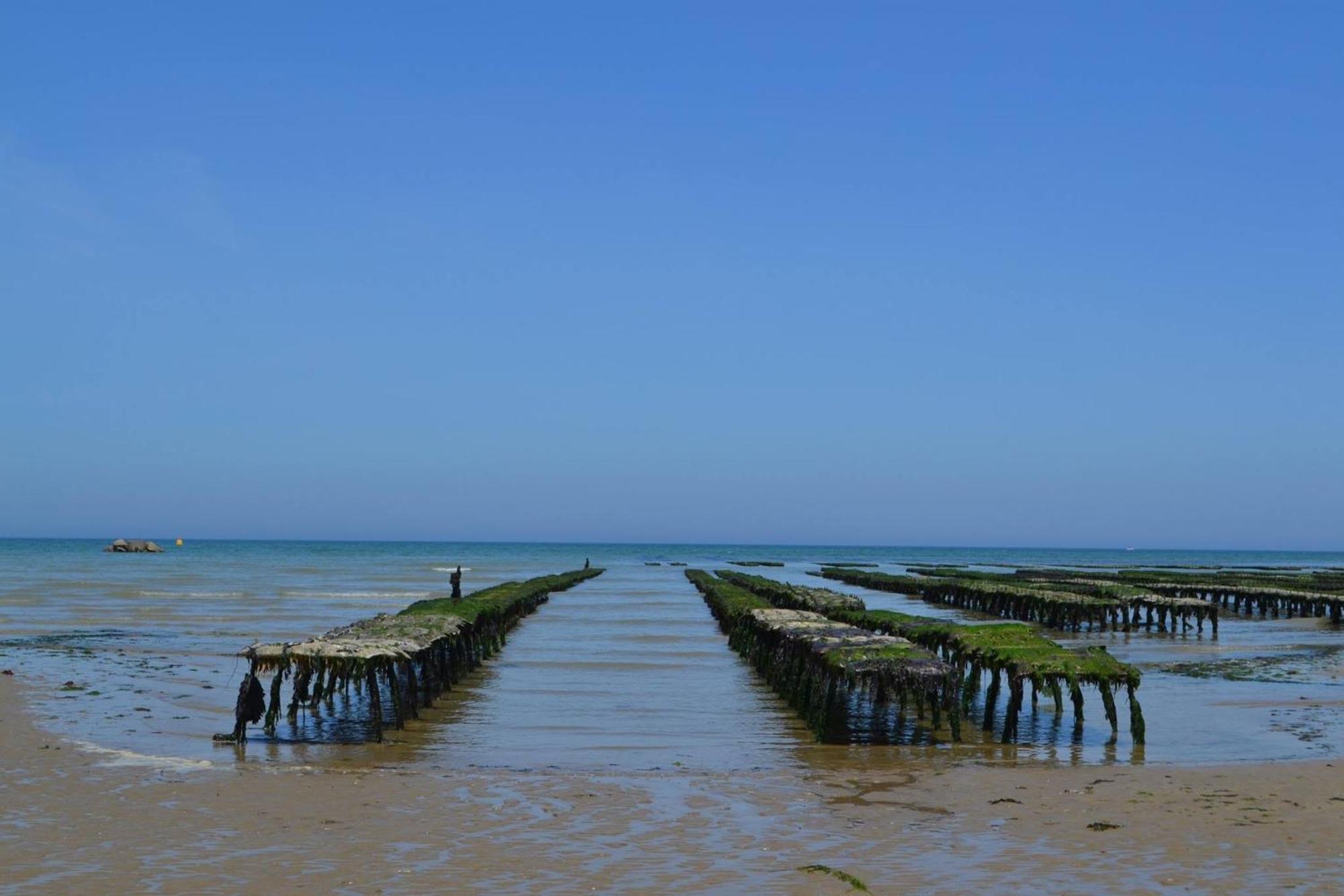 Villa Des Pontons Maison 5 Chambres Avec Grand Jardin Clos Et Belle Terrasse Sejour Spacieux Lumineux A 2 Kms De La Plage D'Arromanches Pres De Bayeux, Omaha Beach - Table De Ping Pong トレシー・シュル・メール エクステリア 写真